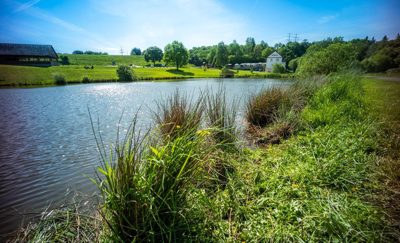 Domaene Am See Зиммерн Экстерьер фото